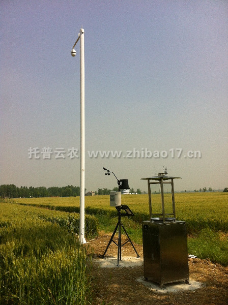 埇桥区大田“四情”监测系统成果展示