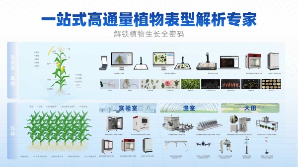 植物表型产品集合_副本.jpg